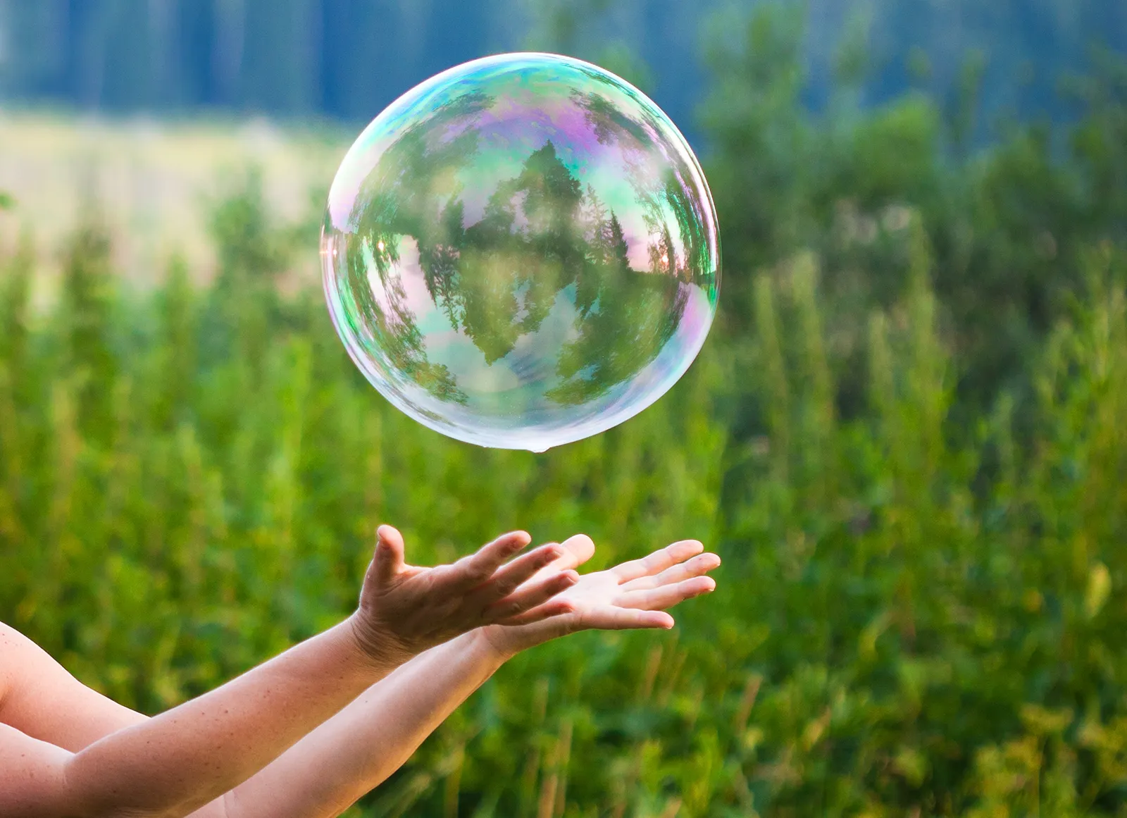 Vulnerability Teaser Image Vulnerability Teaser Image