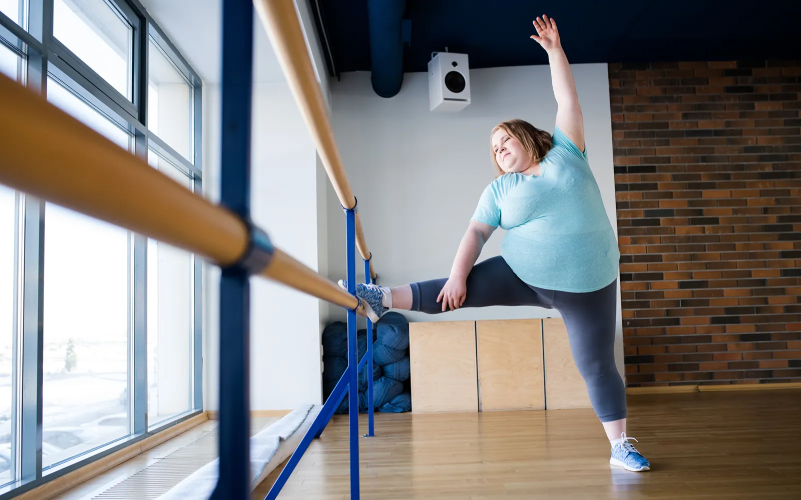 Demystifying Obesity Teaser Image Demystifying Obesity Teaser Image