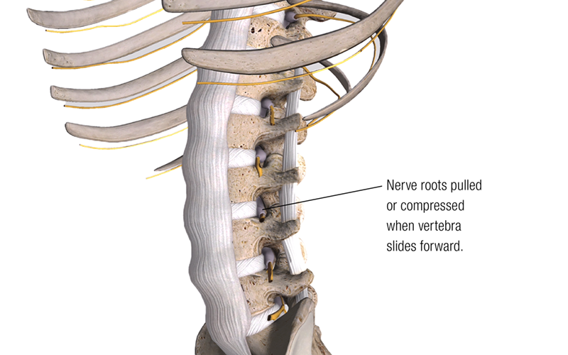 JF_19_ClinicalExplorations3_800 JF_19_ClinicalExplorations3_800