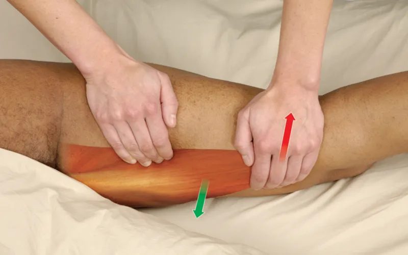 ND_18_Adductor Magnus2 ND_18_Adductor Magnus2