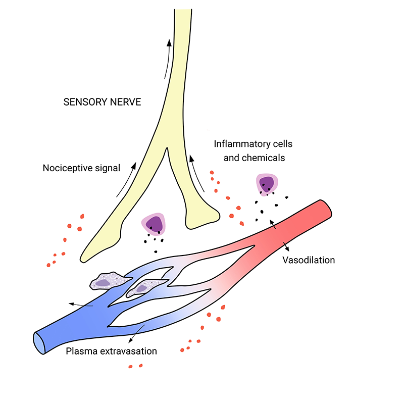 MA_19_SomaticEdge2_800