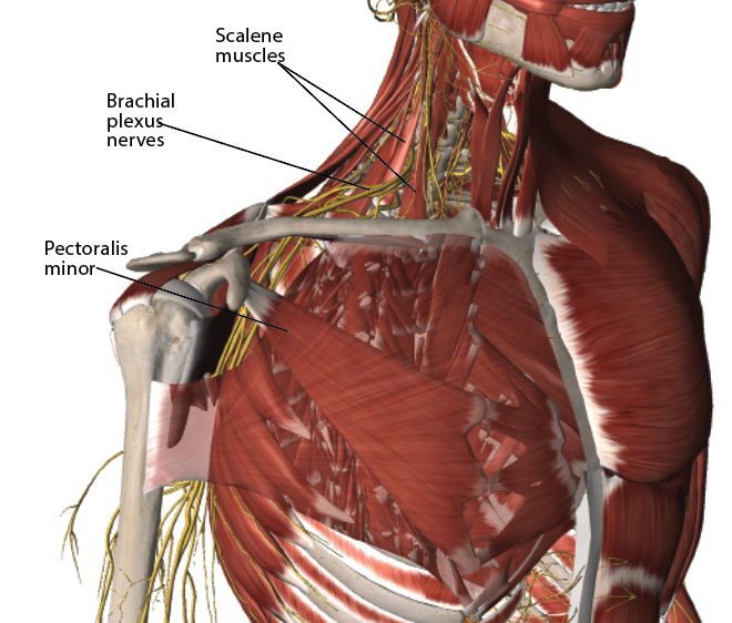 clinical apps image 3 clinical apps image 3