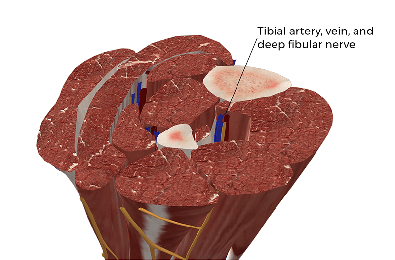 MA21_PuttingtheSqueeze3 MA21_PuttingtheSqueeze3
