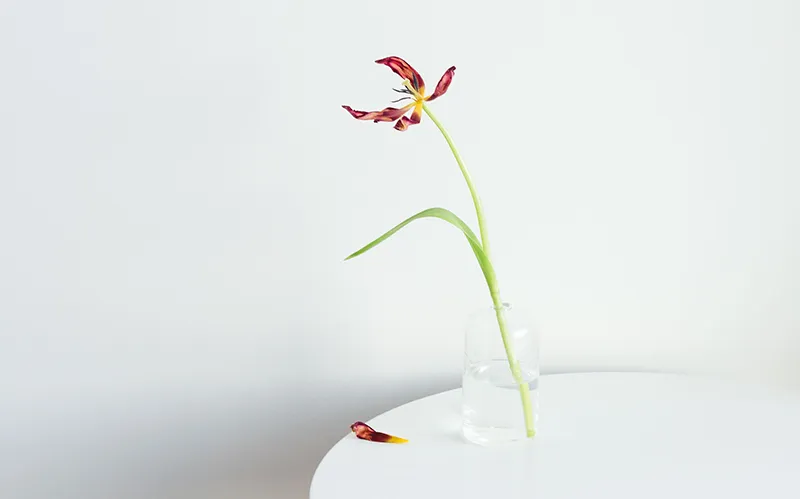 JA_19_LymphDrainageCancerPatients_Stocksy_comp_2199407_800