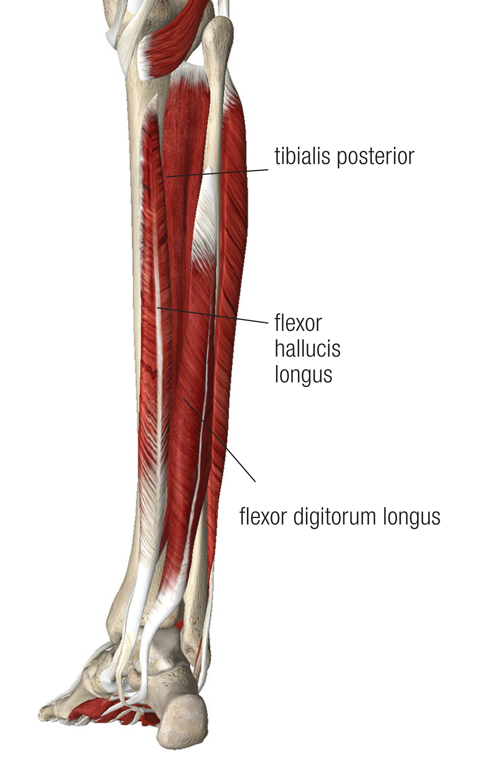 MA_14_ClinicalApps1_Main_1600