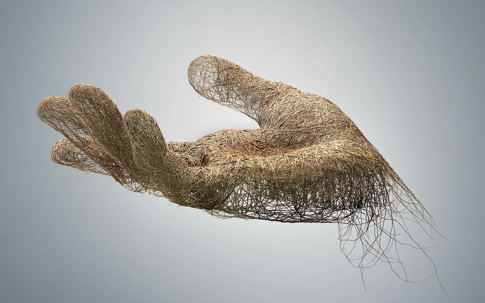 When Does the Tissue Matter? Teaser Image When Does the Tissue Matter? Teaser Image