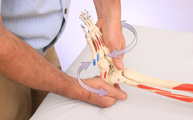 SP_26_SomaticEdge_Secondary2_800