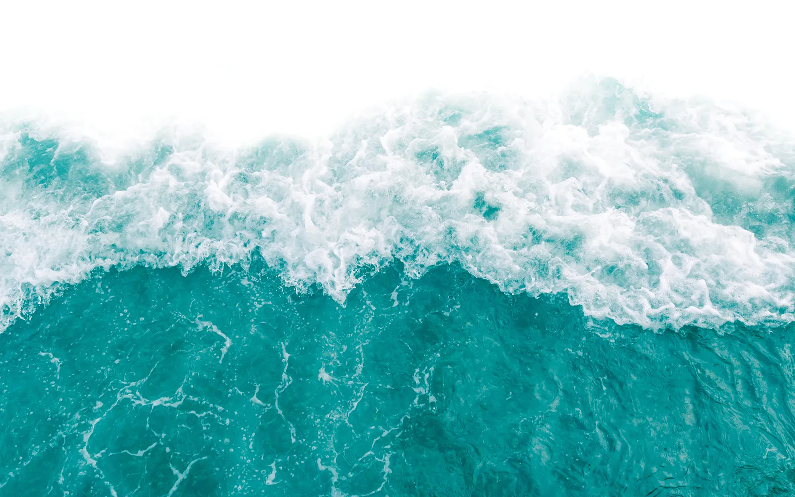 Hydrotherapy in Your Practice Teaser Image