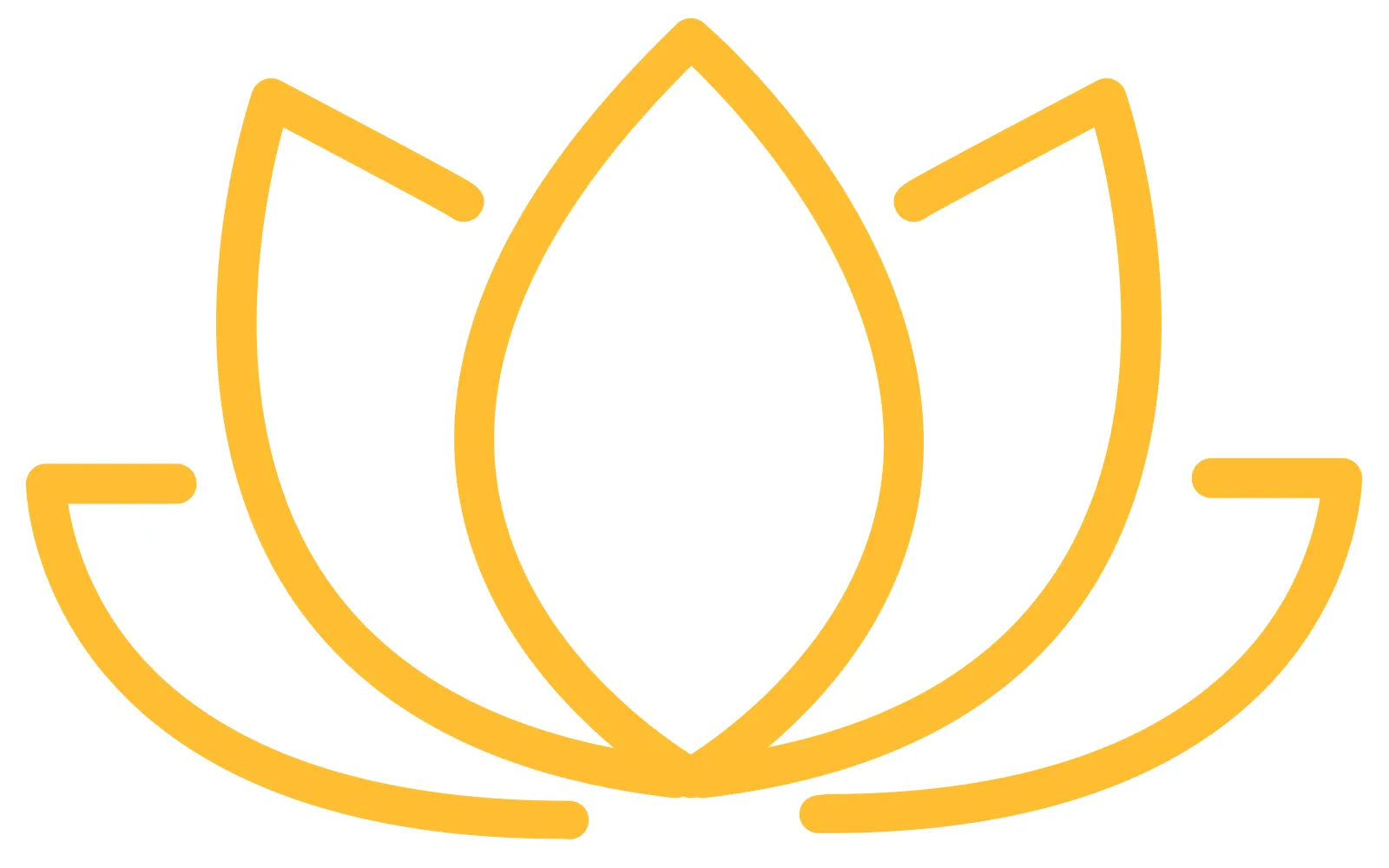 JA_16_Savvy_Lotus__1600