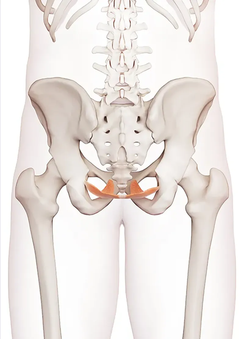 JF21_PelvicFloorDysfunction4