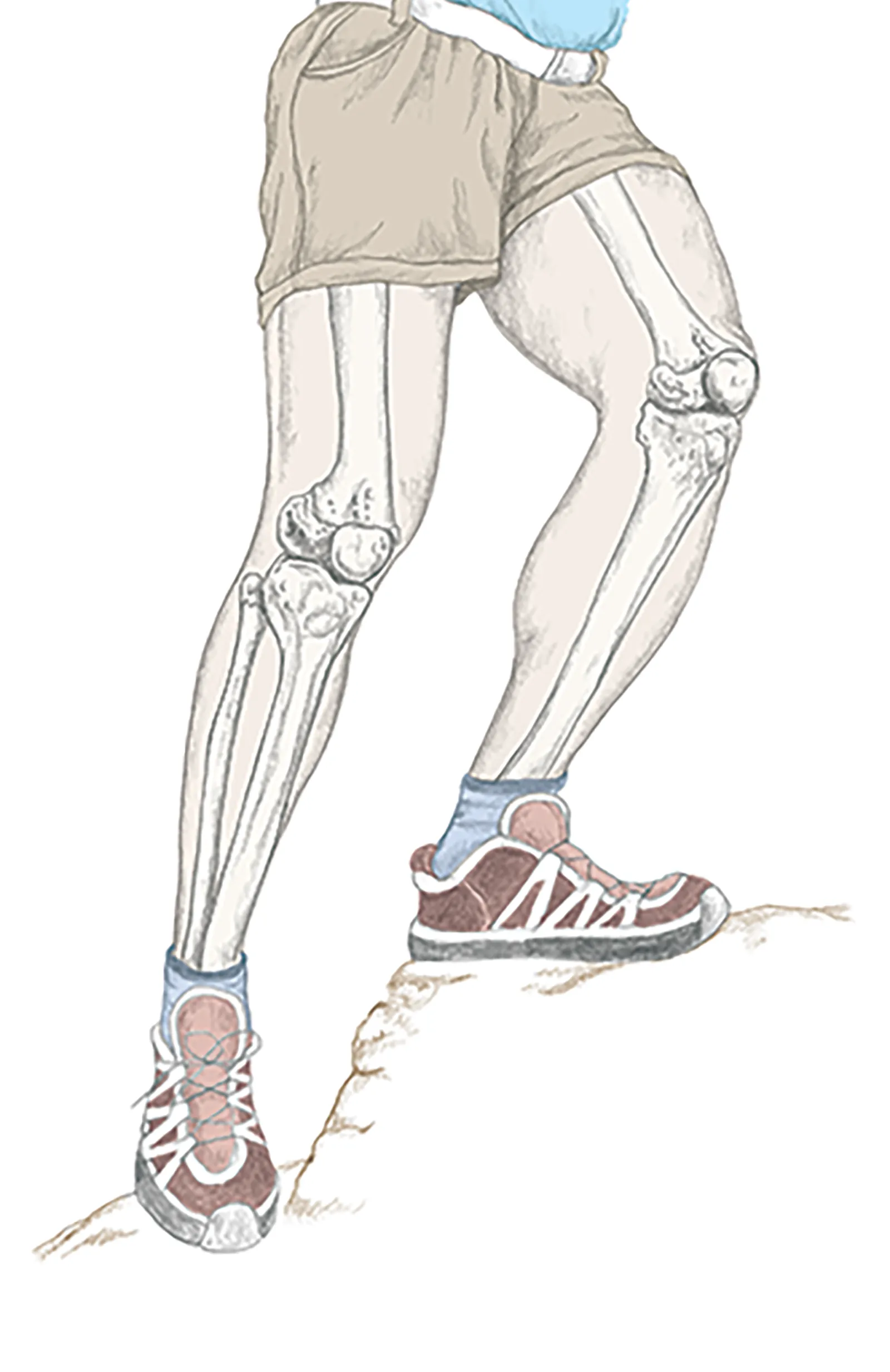 MJ_14_6ShortStories17_CompressingBones_1600