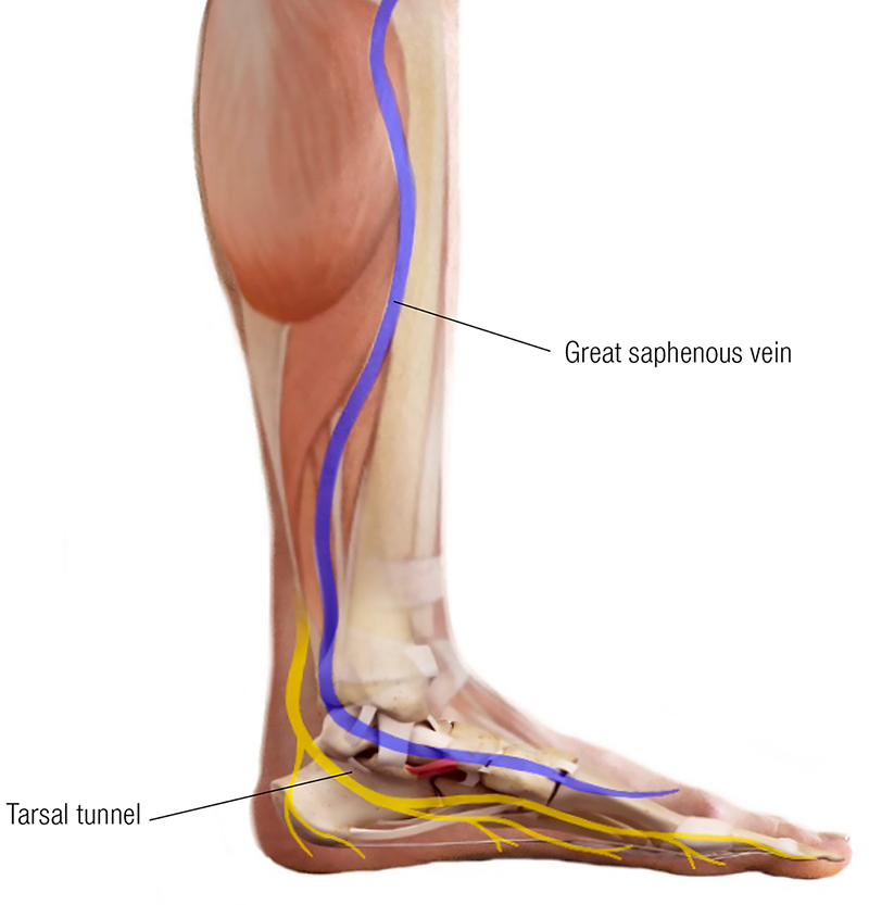 MJ20_Endangerment Sites9