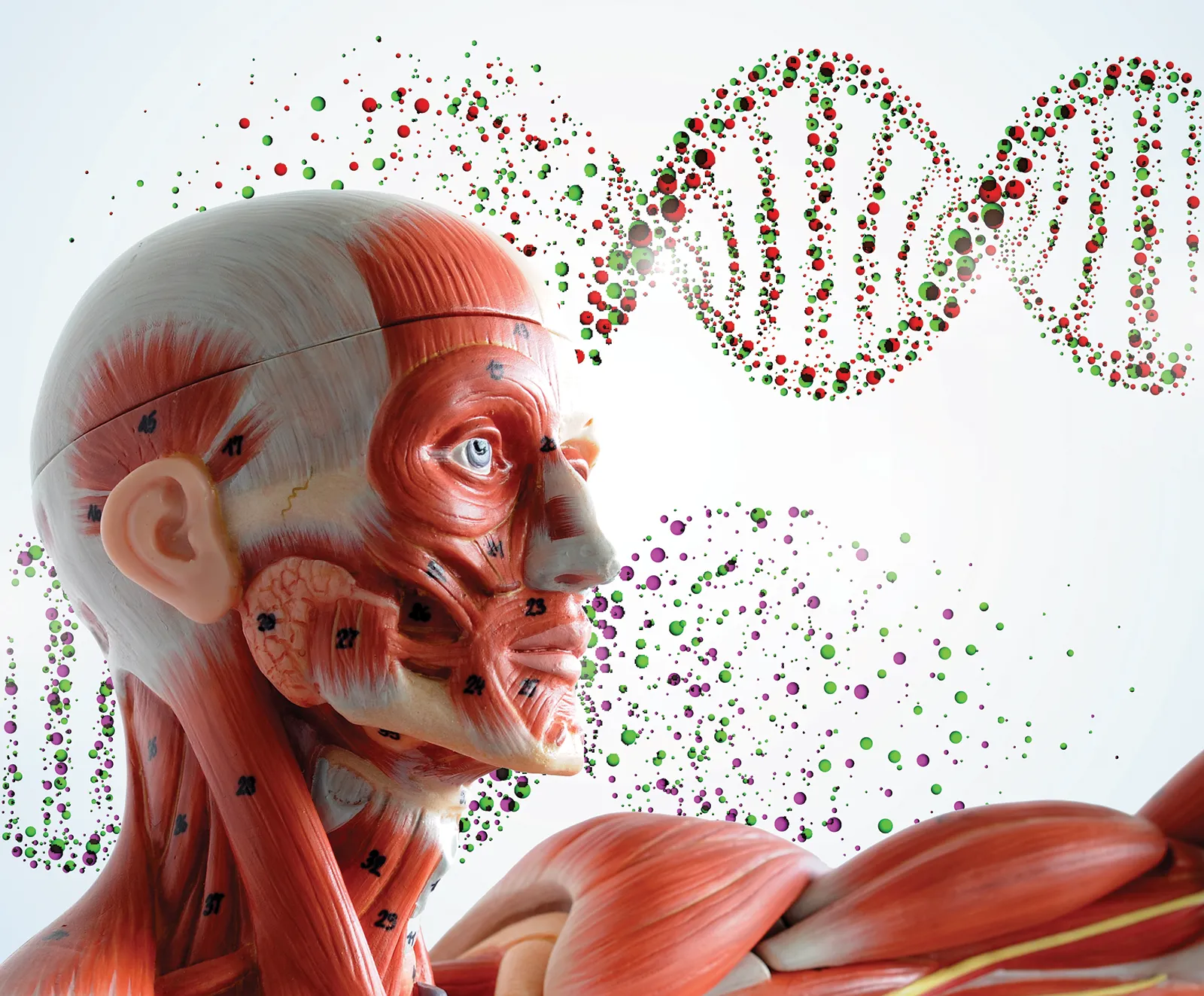 MA_14_SomaticResearch_Main_shutterstock_1600