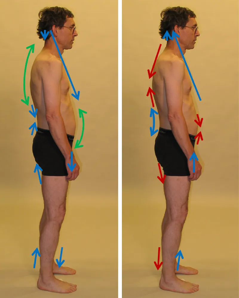 MJ_19_StructuralIntegrationA-B_800