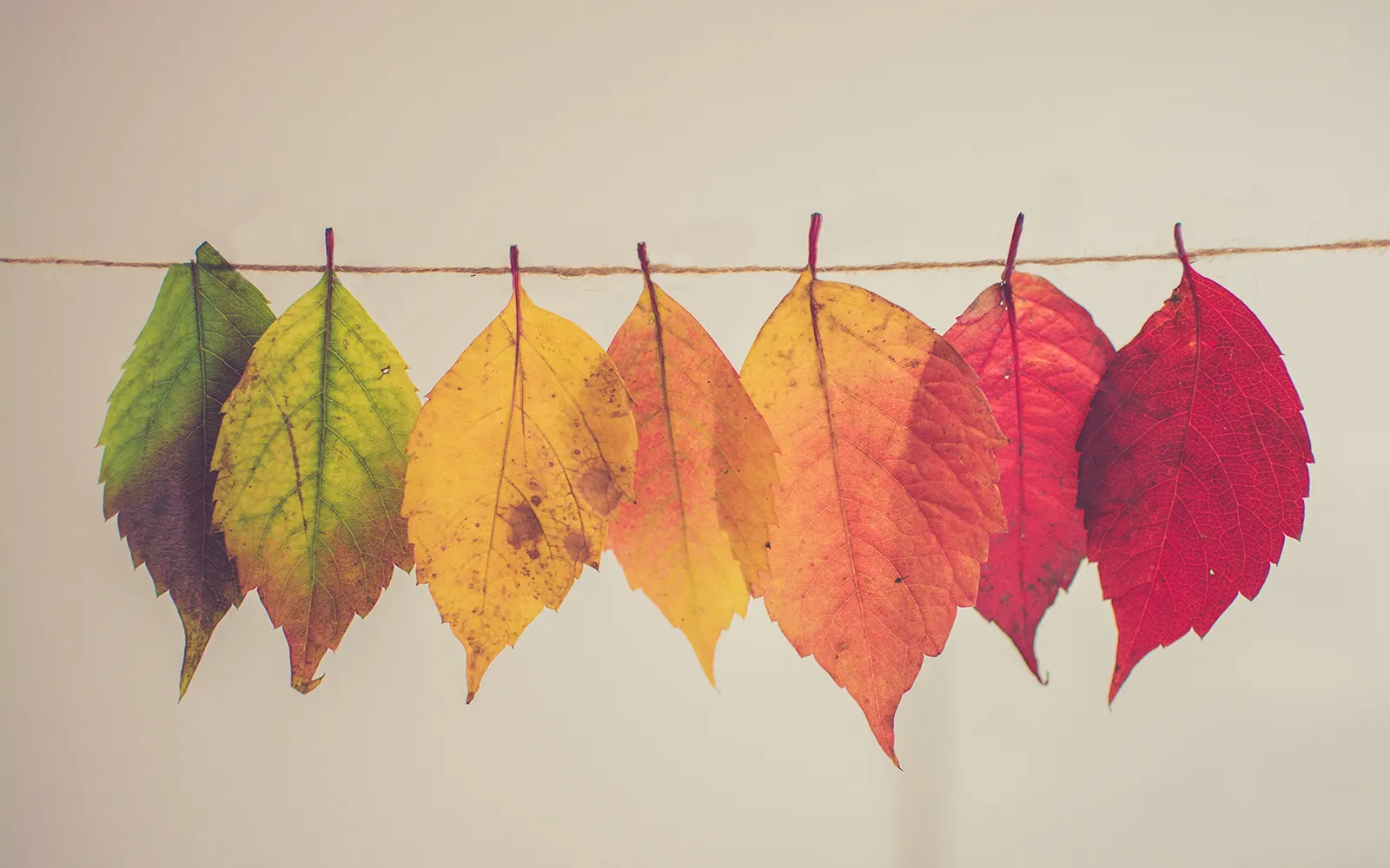 Activate Your Center Teaser Image Activate Your Center Teaser Image