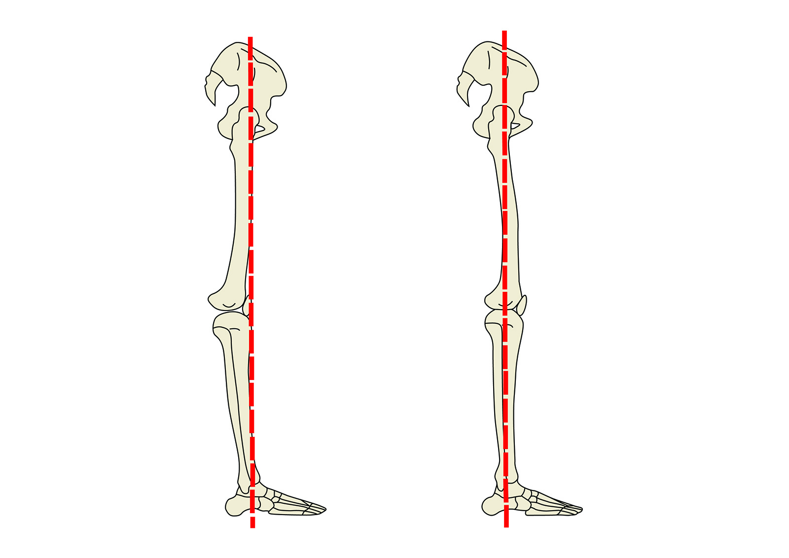 MJ_15_MyofascialTechniques_Secondary3_1600 MJ_15_MyofascialTechniques_Secondary3_1600