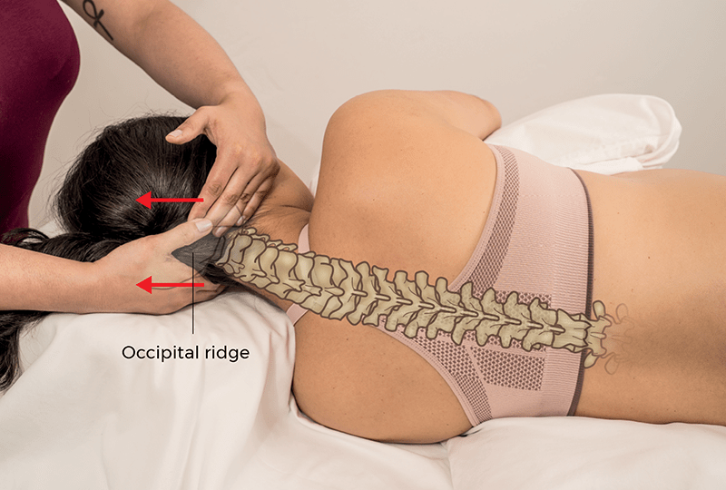 MJ21_EasinghtheStress_Occiput MJ21_EasinghtheStress_Occiput