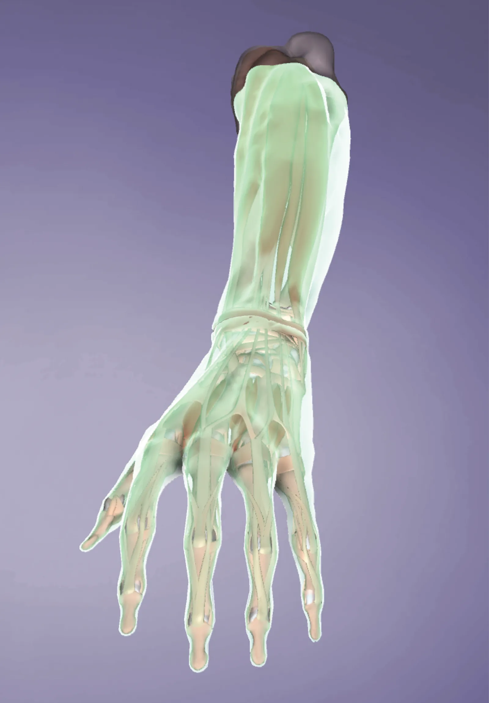 JA_14_Myofascial8_1600