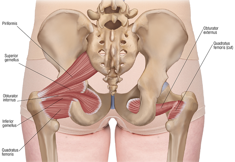 SO19_Stretching the Piriformis1