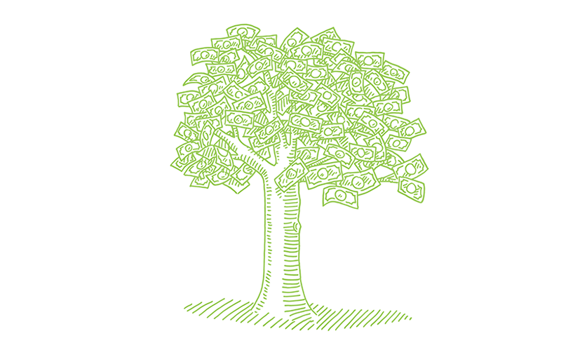 JA19_BillOrNot JA19_BillOrNot