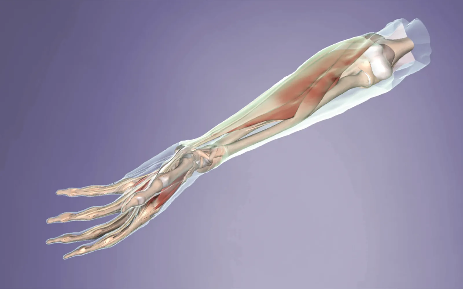 JA_14_Myofascial4_1600