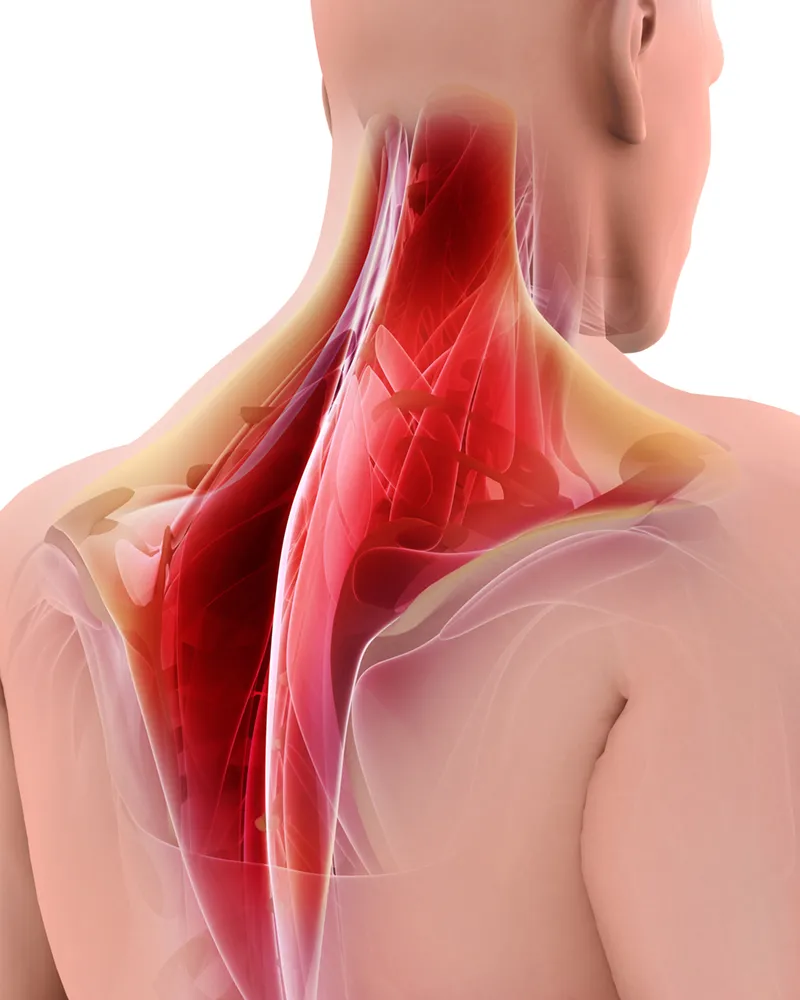 SO_18_TableLessons_iStock-840587882_800 SO_18_TableLessons_iStock-840587882_800