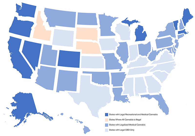 SO19_CBD and Massage_Graph