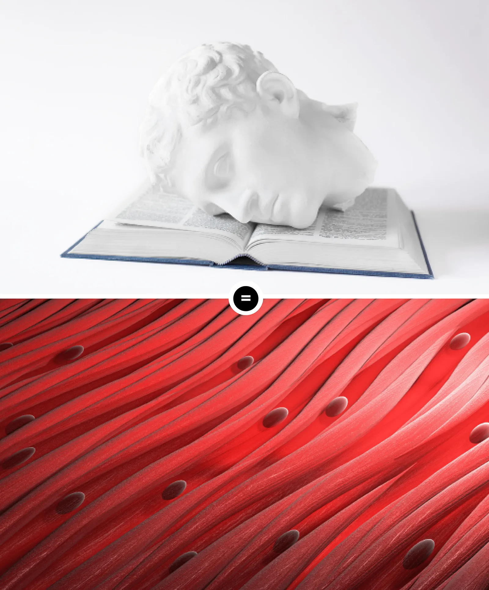 Intelligent Fascia? Teaser Image