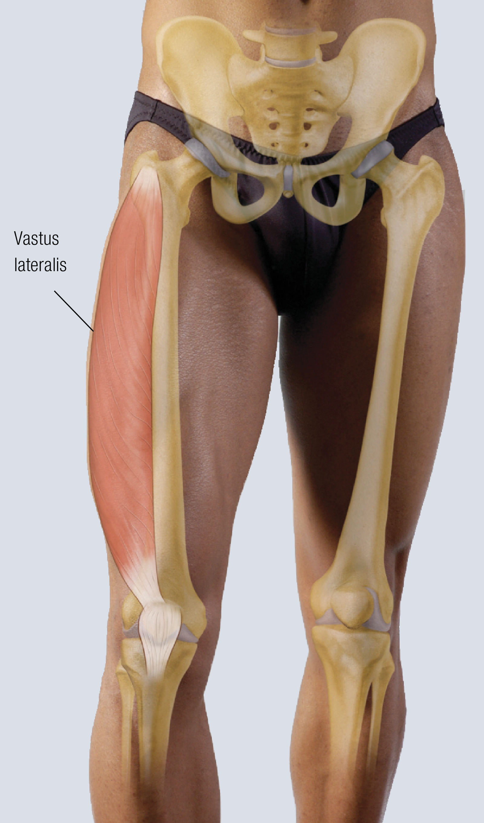 ND16_FunctionalAnatomy1