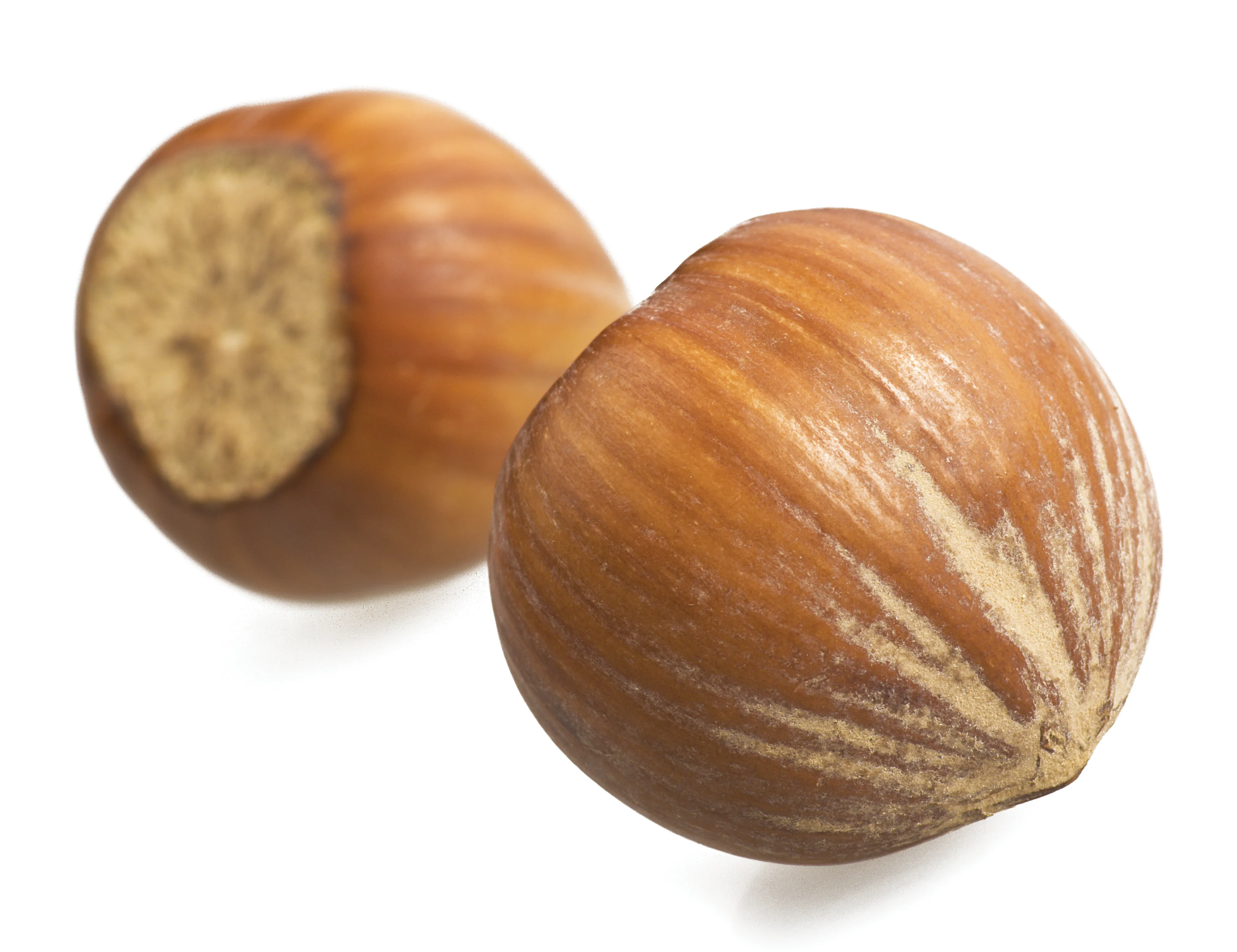 MJ_14_ClassClient_Secondary1_shutterstock_1600