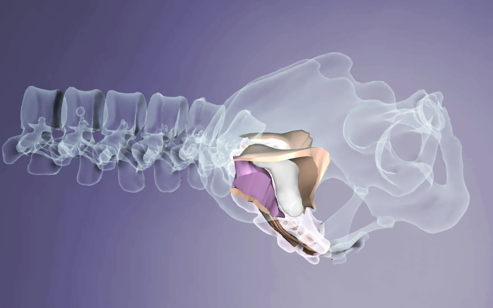 ND16_Myofascial