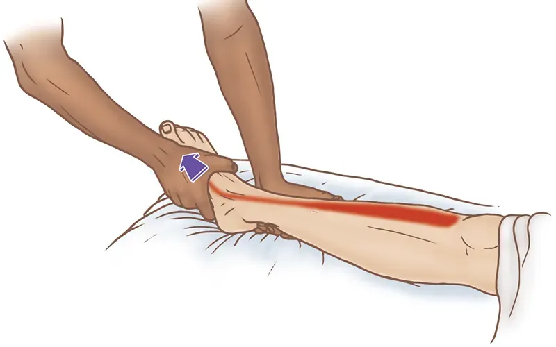 MJ20_MusclesStretched3 MJ20_MusclesStretched3