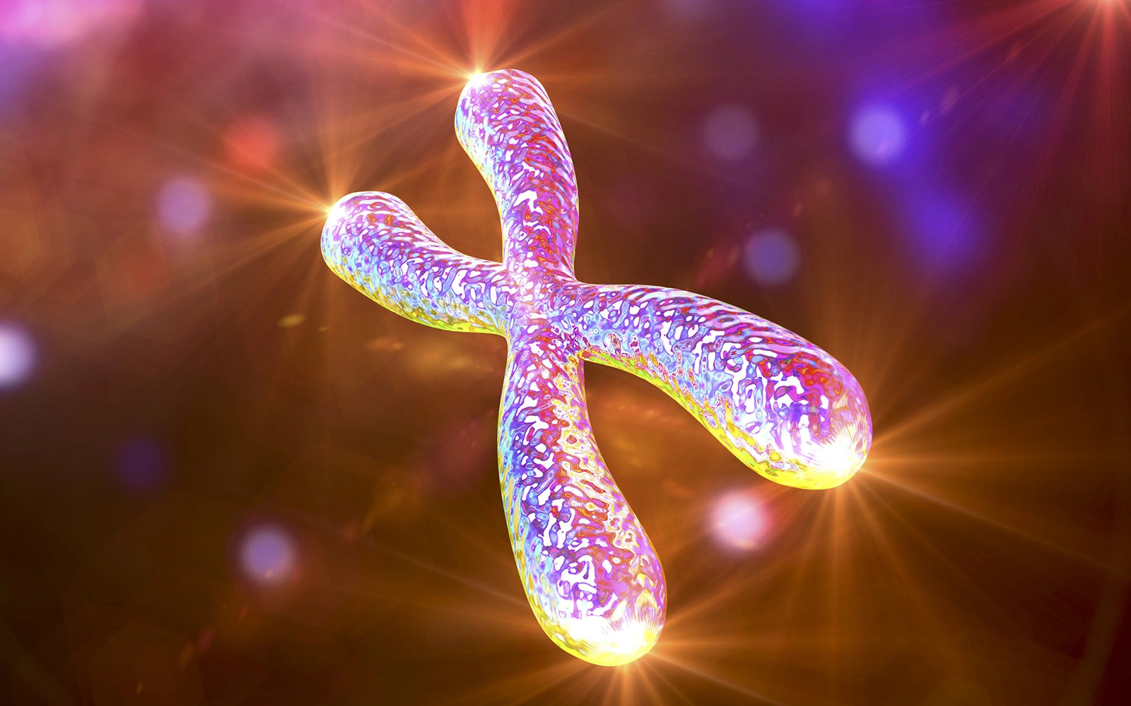 JF20_Chronic Stress1 JF20_Chronic Stress1