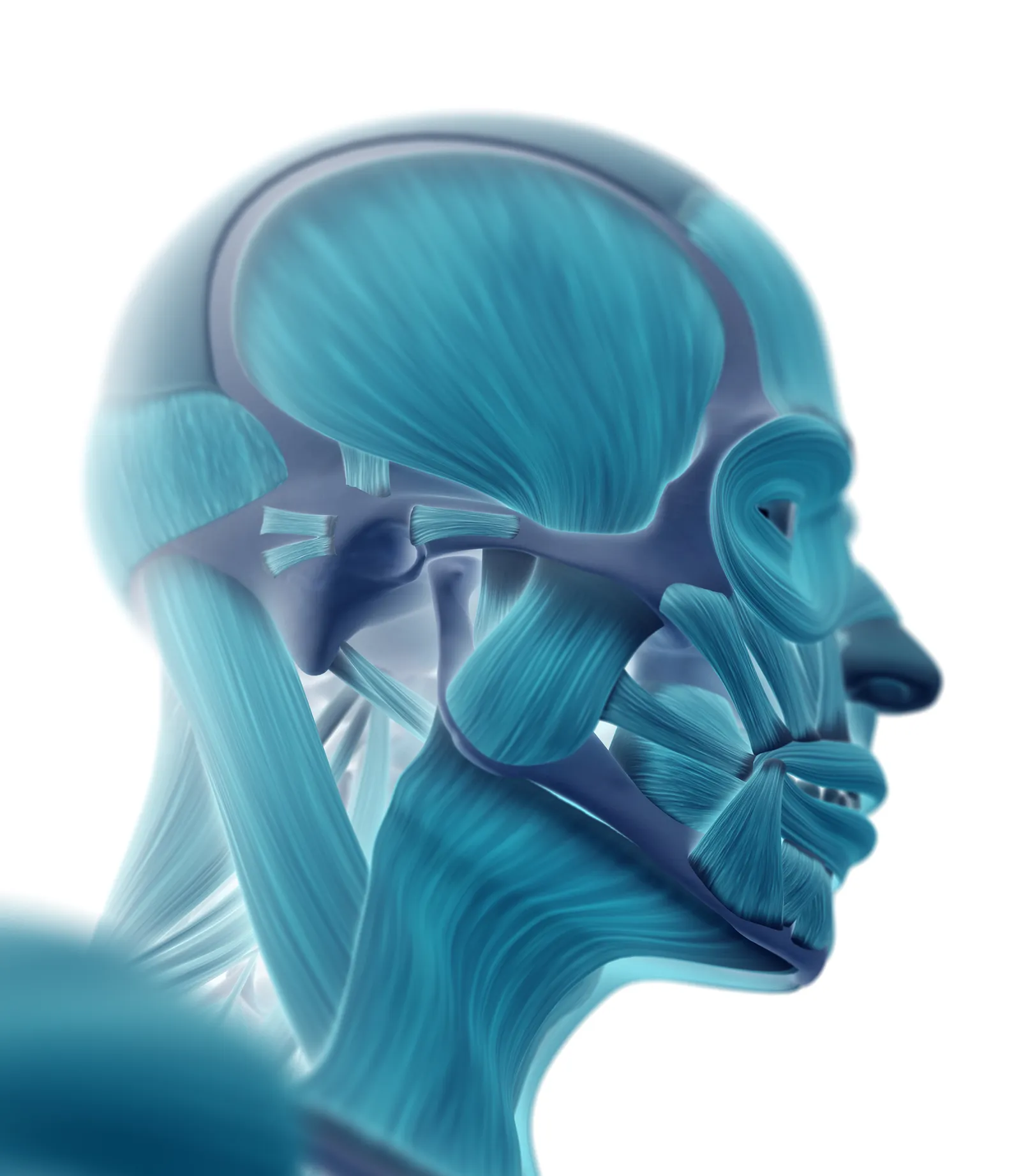 MA_19_FascialDysfunction_iStock-544967618_1600 MA_19_FascialDysfunction_iStock-544967618_1600