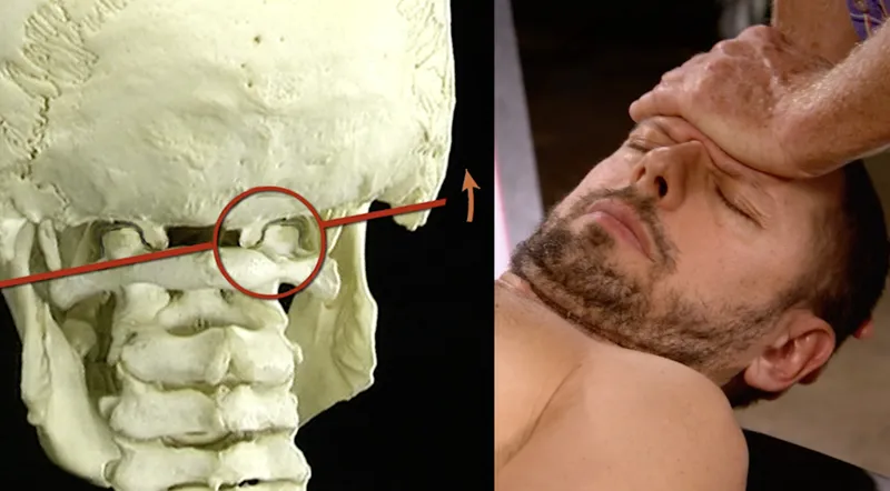 JA18_Postural5 JA18_Postural5