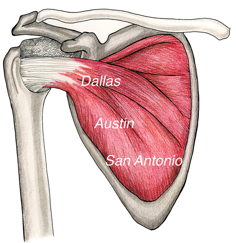 JF20_Slippery Subscap3 JF20_Slippery Subscap3