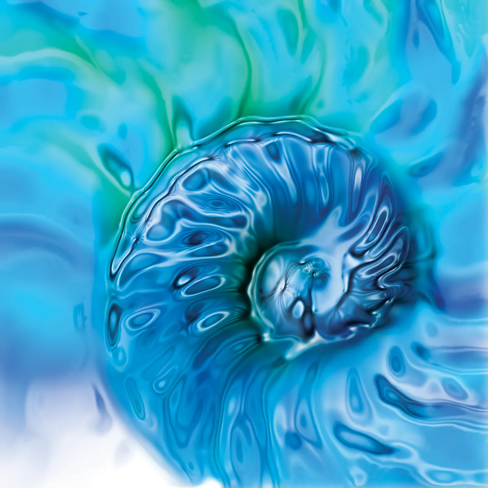 MJ_14_Essence_Secondary4_shutterstock_1600 MJ_14_Essence_Secondary4_shutterstock_1600